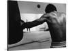 Monochromatic Image of a Boxer Working Out-null-Stretched Canvas