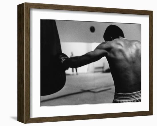 Monochromatic Image of a Boxer Working Out-null-Framed Premium Photographic Print