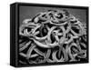 Monochromatic Image of a Pile of Horseshoes-null-Framed Stretched Canvas