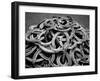 Monochromatic Image of a Pile of Horseshoes-null-Framed Premium Photographic Print