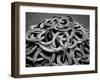 Monochromatic Image of a Pile of Horseshoes-null-Framed Photographic Print