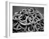 Monochromatic Image of a Pile of Horseshoes-null-Framed Photographic Print