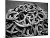 Monochromatic Image of a Pile of Horseshoes-null-Mounted Photographic Print