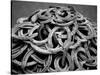 Monochromatic Image of a Pile of Horseshoes-null-Stretched Canvas