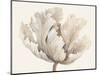 Monochromatic Tulip I-Tim O'toole-Mounted Art Print