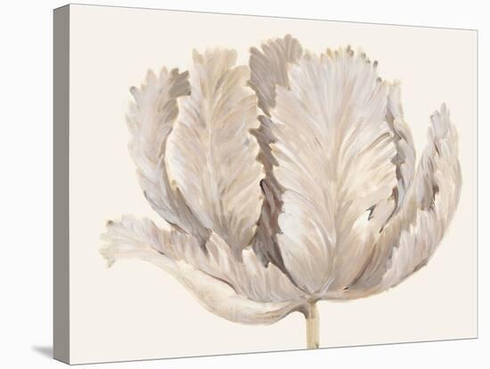 Monochromatic Tulip II-Tim O'toole-Stretched Canvas