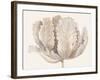 Monochromatic Tulip II-Tim O'toole-Framed Art Print