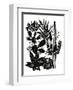 Monochrome Cacti-Myriam Tebbakha-Framed Art Print