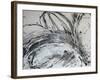 Monochrome Flora II-Caroline Ashwood-Framed Giclee Print