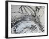 Monochrome Flora II-Caroline Ashwood-Framed Giclee Print