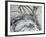 Monochrome Flora II-Caroline Ashwood-Framed Giclee Print