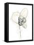 Monochrome Floral Study I-June Vess-Framed Stretched Canvas