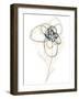 Monochrome Floral Study IV-June Vess-Framed Art Print