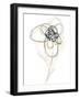 Monochrome Floral Study IV-June Vess-Framed Art Print