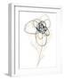 Monochrome Floral Study IV-June Vess-Framed Art Print