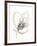 Monochrome Floral Study V-June Vess-Framed Art Print