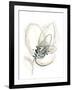 Monochrome Floral Study V-June Vess-Framed Art Print