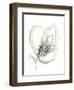 Monochrome Floral Study V-June Vess-Framed Art Print