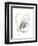 Monochrome Floral Study V-June Vess-Framed Art Print