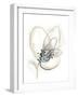 Monochrome Floral Study V-June Vess-Framed Art Print