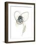 Monochrome Floral Study VII-June Vess-Framed Art Print