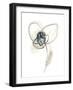 Monochrome Floral Study VII-June Vess-Framed Art Print
