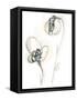Monochrome Floral Study VIII-June Vess-Framed Stretched Canvas