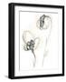 Monochrome Floral Study VIII-June Vess-Framed Art Print