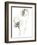 Monochrome Floral Study VIII-June Vess-Framed Art Print