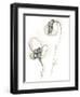 Monochrome Floral Study VIII-June Vess-Framed Art Print