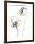 Monochrome Floral Study VIII-June Vess-Framed Art Print