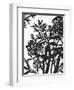 Monochrome Foliage II-PI Studio-Framed Art Print