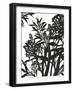 Monochrome Foliage II-PI Studio-Framed Art Print