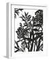 Monochrome Foliage II-PI Studio-Framed Art Print