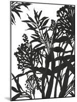 Monochrome Foliage II-PI Studio-Mounted Art Print