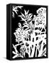 Monochrome Foliage IV-PI Studio-Framed Stretched Canvas