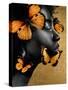 Monochrome Golden Butterfly II-Alonzo Saunders-Stretched Canvas