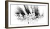 Monochrome Grass-Sandy Rahdian Nugraha-Framed Photographic Print