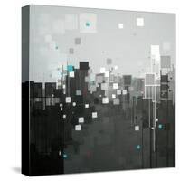 Monochrome I-Carol Joy Shannon-Stretched Canvas