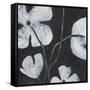 Monochrome Meadow II-June Vess-Framed Stretched Canvas