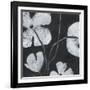 Monochrome Meadow II-June Vess-Framed Art Print