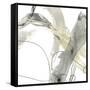 Monochrome Momentum III-June Vess-Framed Stretched Canvas