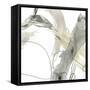 Monochrome Momentum III-June Vess-Framed Stretched Canvas