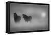 Monochrome Moods-Adrian Campfield-Framed Stretched Canvas