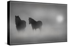 Monochrome Moods-Adrian Campfield-Stretched Canvas