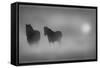 Monochrome Moods-Adrian Campfield-Framed Stretched Canvas