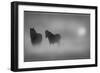 Monochrome Moods-Adrian Campfield-Framed Photographic Print