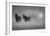 Monochrome Moods-Adrian Campfield-Framed Photographic Print