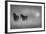 Monochrome Moods-Adrian Campfield-Framed Photographic Print