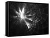 Monochrome Perspective Distorted Grid Fractal Design-R.T. Wohlstadter-Framed Stretched Canvas